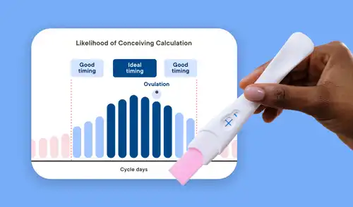 An image of graphic and pregnancy test